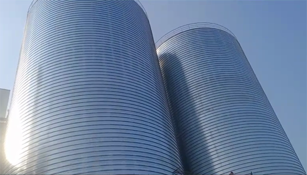 凤城2座混凝土高架卷板仓